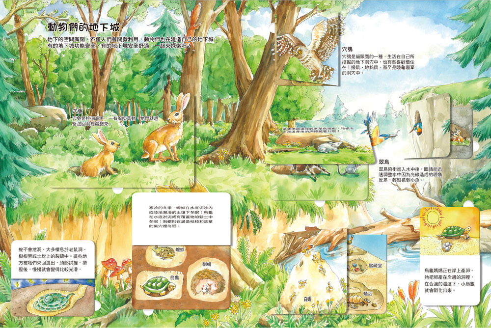  我的STEAM翻翻書：深不可測的地底（7個場景+42個翻頁小機關）